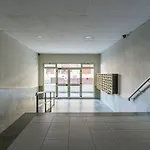 Rodeo
